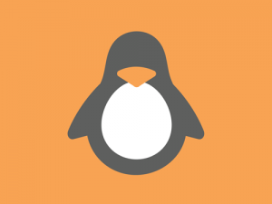 Minit GNU/Linux